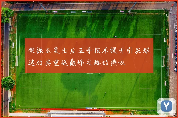 樊振东复出后正手技术提升引发球迷对其重返巅峰之路的热议