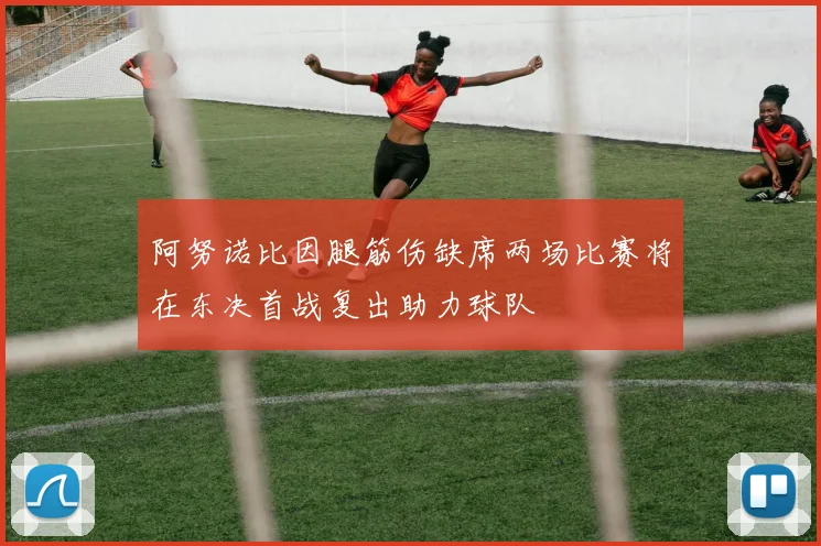 阿努诺比因腿筋伤缺席两场比赛将在东决首战复出助力球队