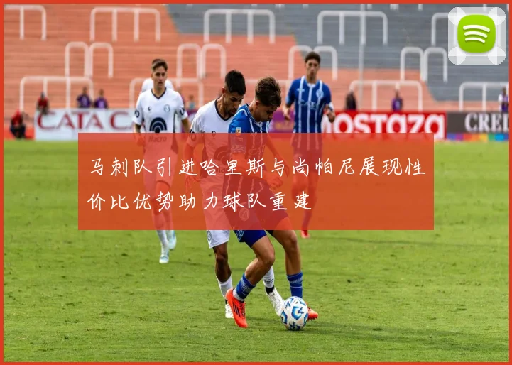 马刺队引进哈里斯与尚帕尼展现性价比优势助力球队重建